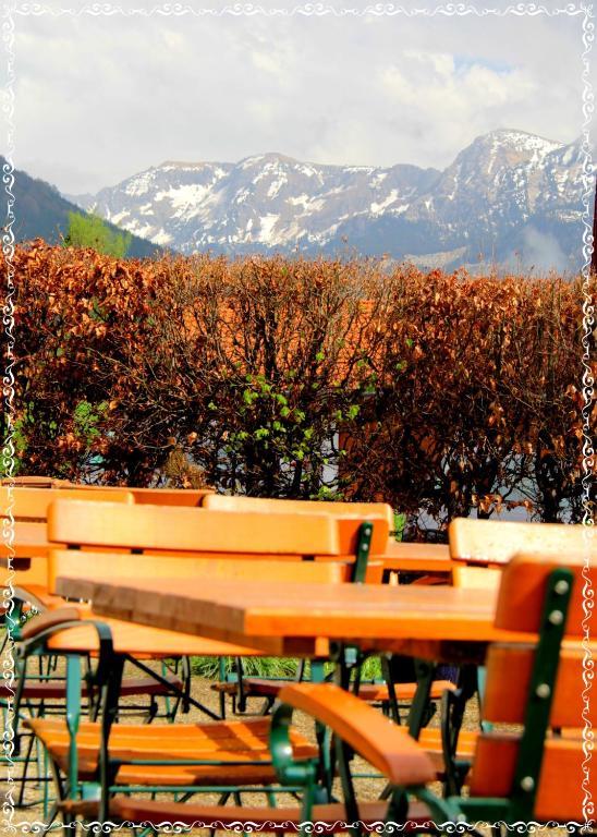 Hotel Alpenblick Berghof Halblech-Buching Exterior foto